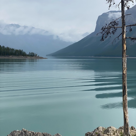 Meet your Posher, Shelley - Picture 1 of 1